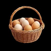 Категория Яйца — свежие продукты