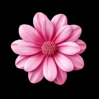 Категория Подарки — свежие продукты